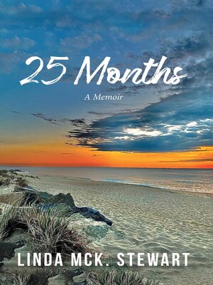 cover image of 25 Months